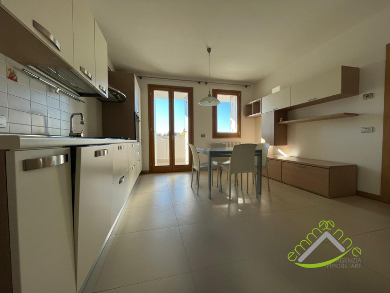 appartamento in affitto a Dolo