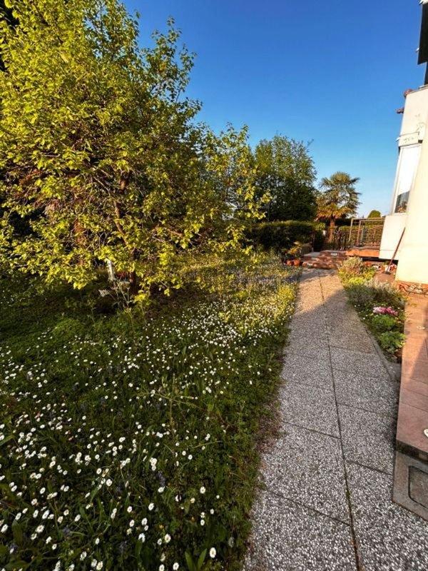 appartamento in affitto a Dolo