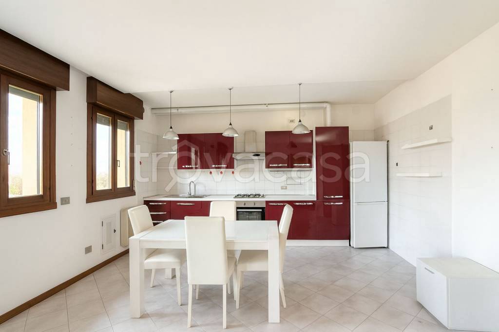 appartamento in affitto a Dolo