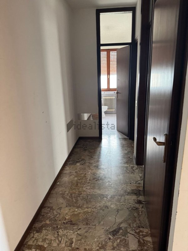 appartamento in affitto a Dolo