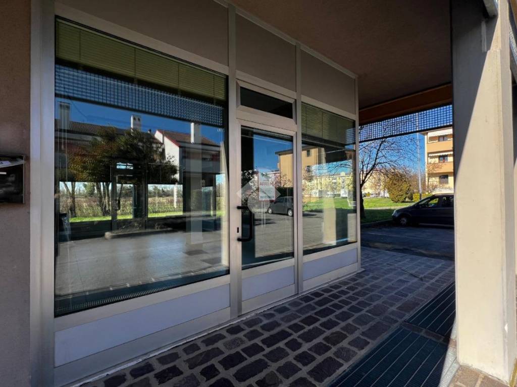 appartamento in affitto a Dolo