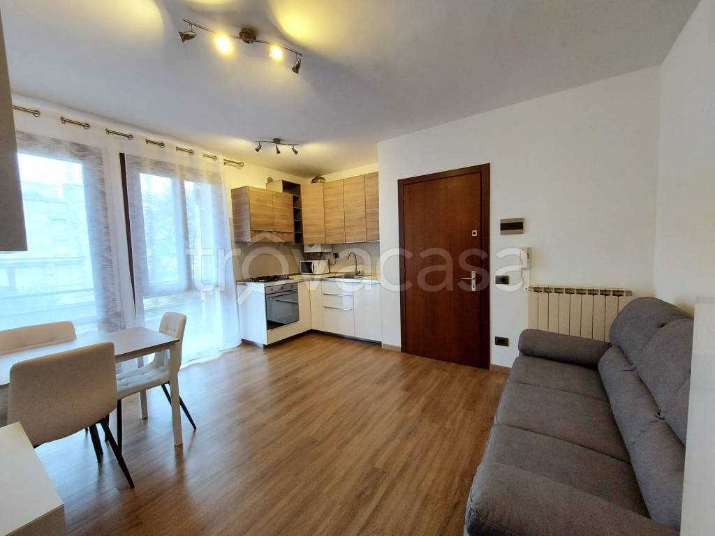 appartamento in affitto a Dolo