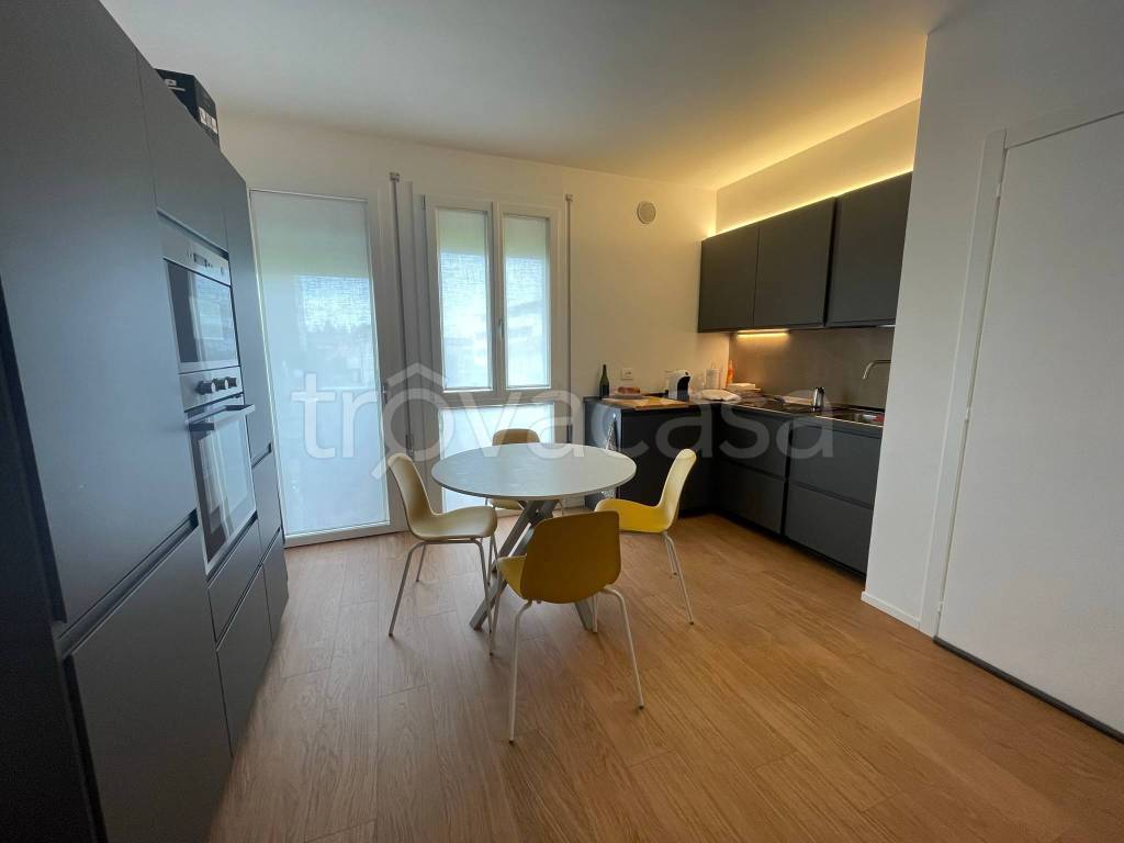 appartamento in affitto a Dolo