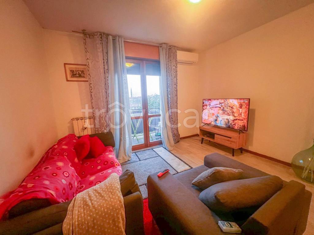 appartamento in affitto a Dolo