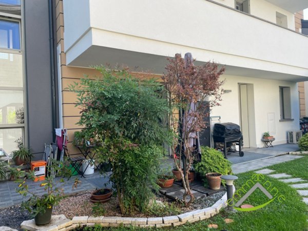 appartamento in affitto a Dolo