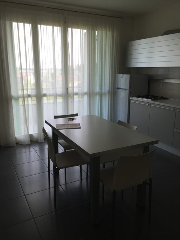 appartamento in affitto a Dolo