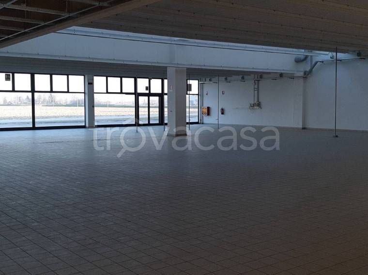 negozio in affitto a Fossalta di Portogruaro in zona Vado