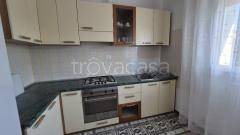 appartamento in affitto a Jesolo in zona Lido