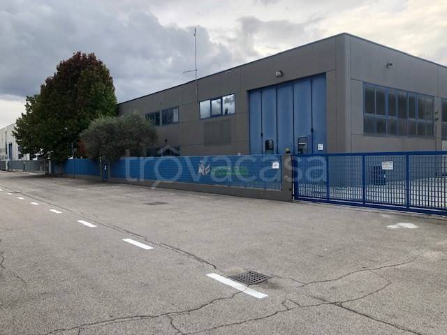 locale commerciale in affitto a Martellago