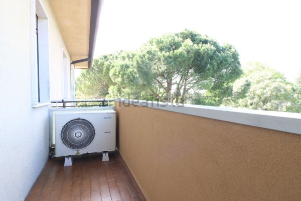 appartamento in affitto a Mira