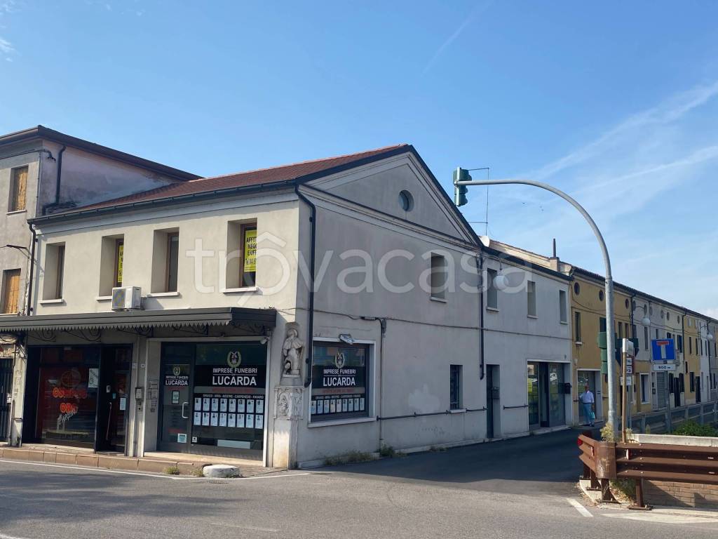 appartamento in affitto a Mira