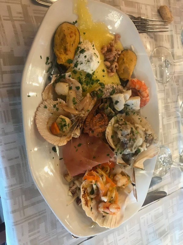 negozio in affitto a Mira