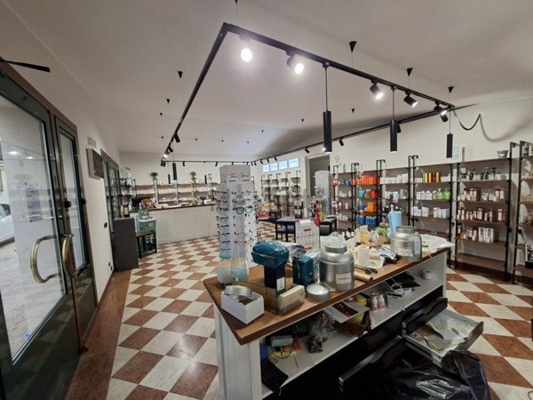 ufficio in affitto a Mira