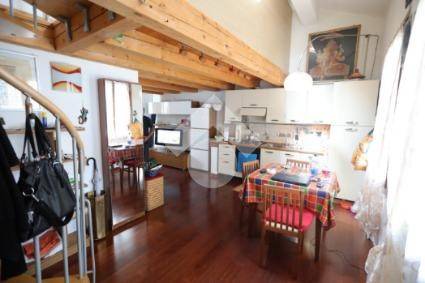 appartamento in affitto a Mira