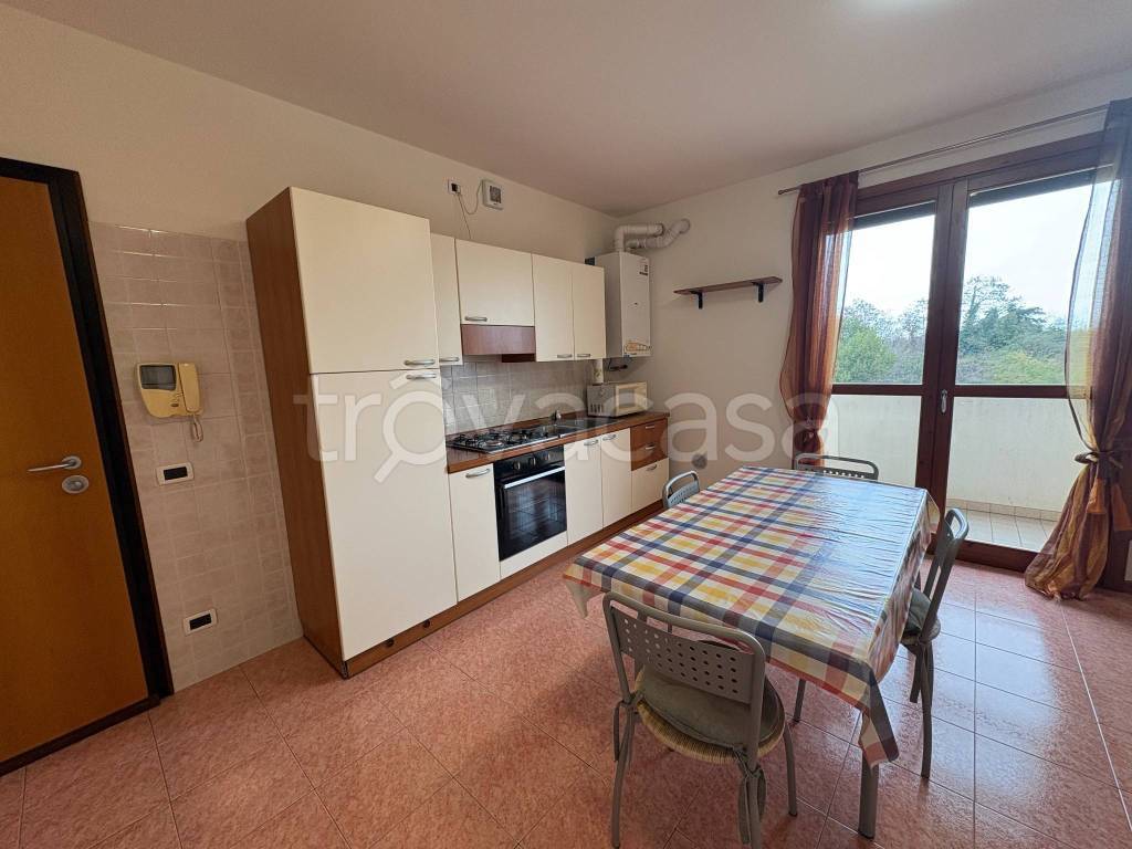 appartamento in affitto a Mira