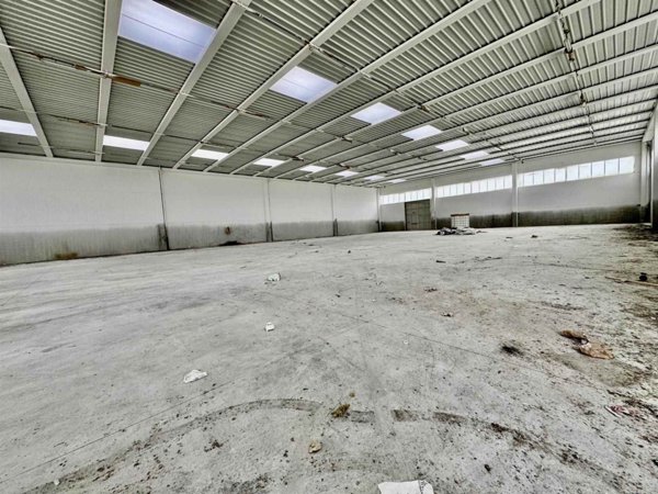 negozio in affitto a Mira