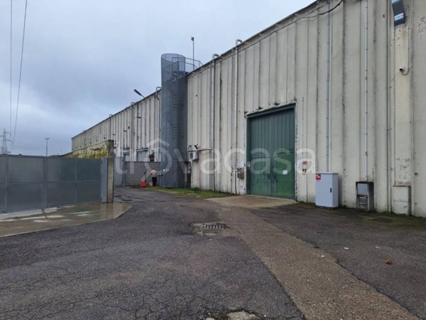 locale commerciale in affitto a Mira