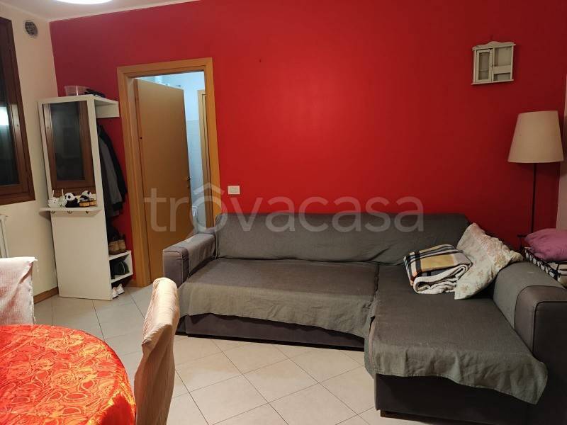 appartamento in affitto a Mira
