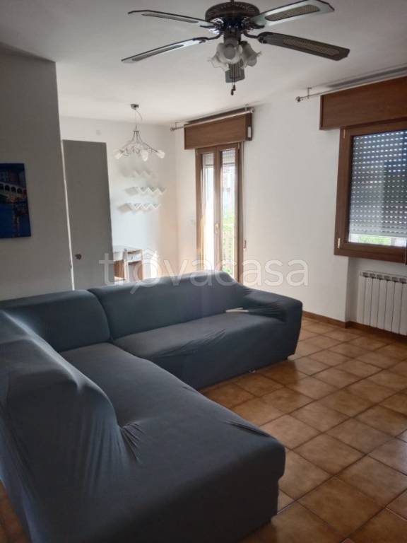 appartamento in affitto a Mira