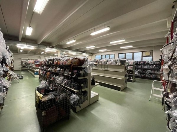 pentavano in affitto a Mirano