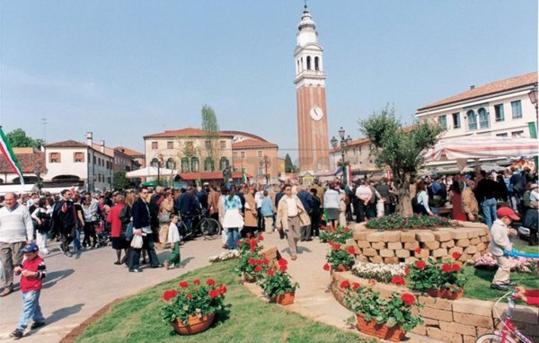appartamento in affitto a Mirano