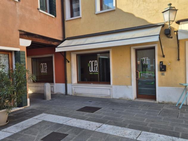 appartamento in affitto a Mirano