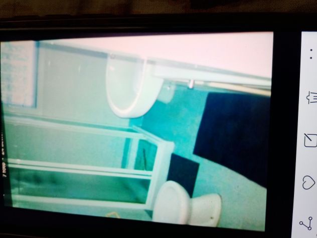 appartamento in affitto a Musile di Piave in zona Croce