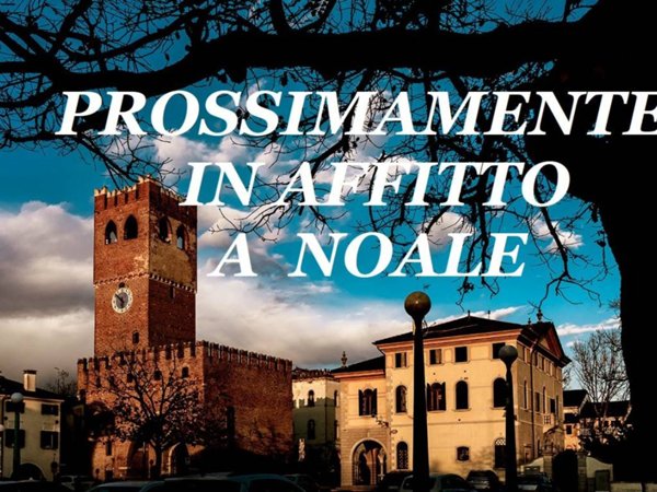 appartamento in affitto a Noale