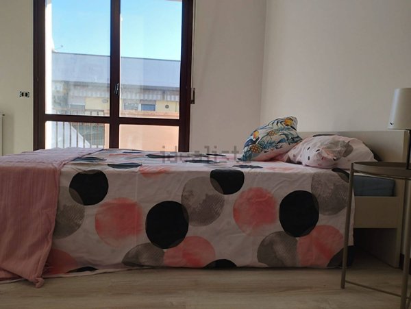 appartamento in affitto a Pianiga