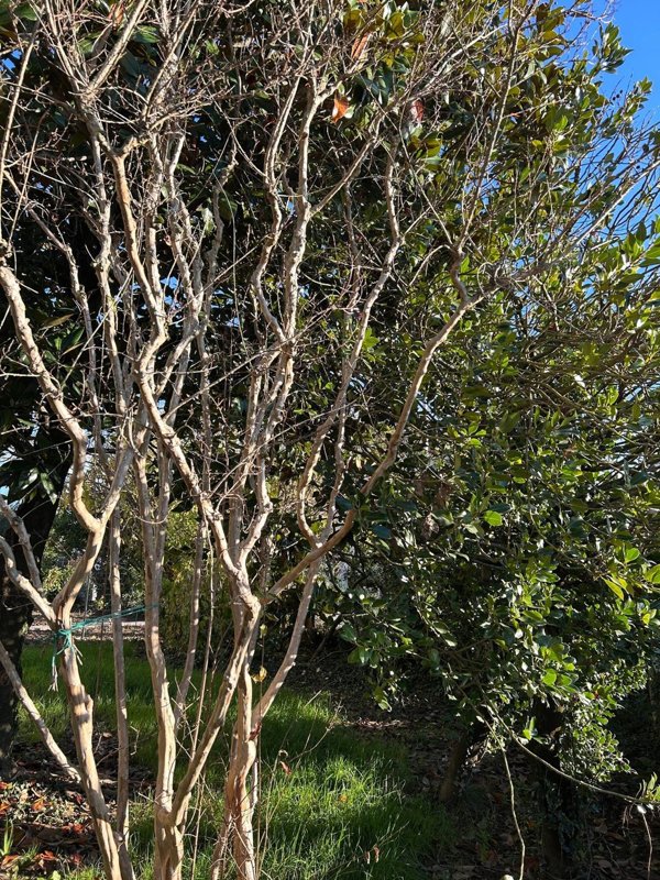 quadrivano in affitto a Portogruaro