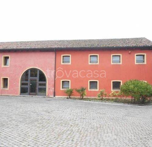 ufficio in affitto a Salzano