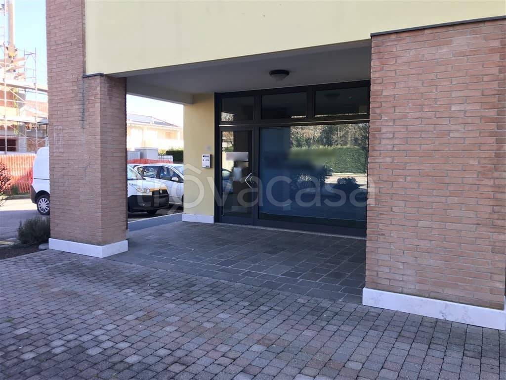 negozio in affitto a Salzano