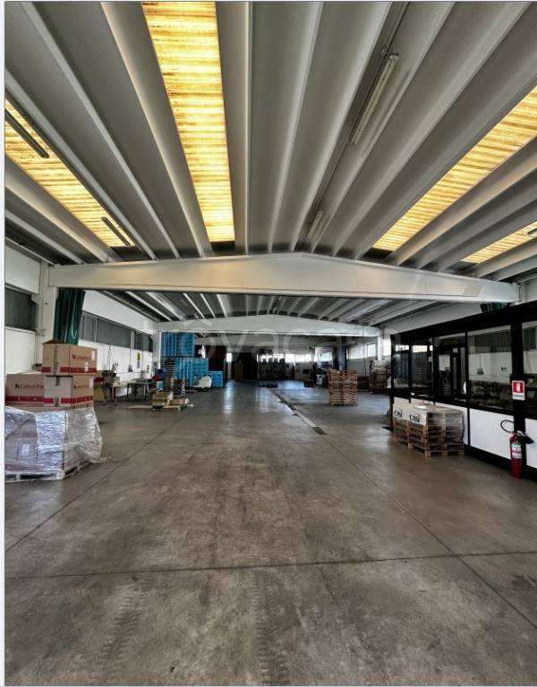 appartamento in affitto a Santa Maria di Sala