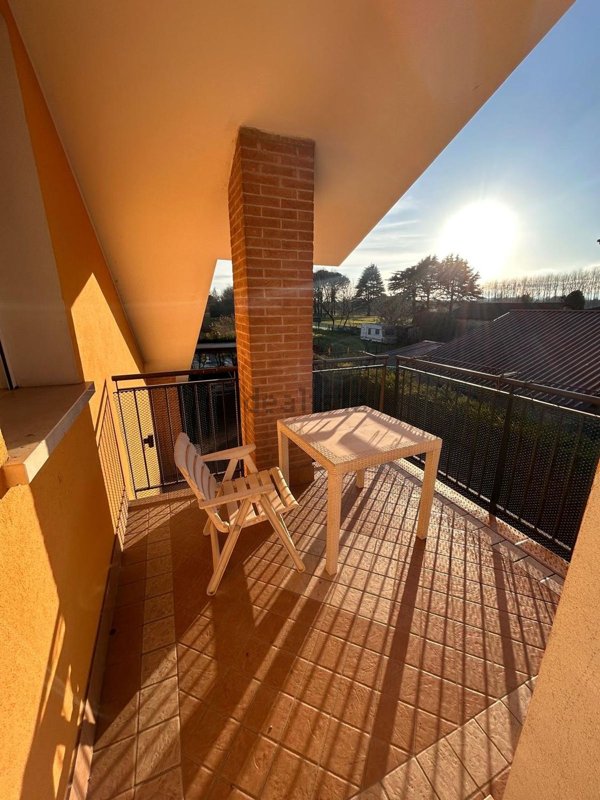 appartamento in affitto a Scorzè