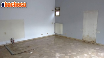 casa indipendente in affitto a Spinea