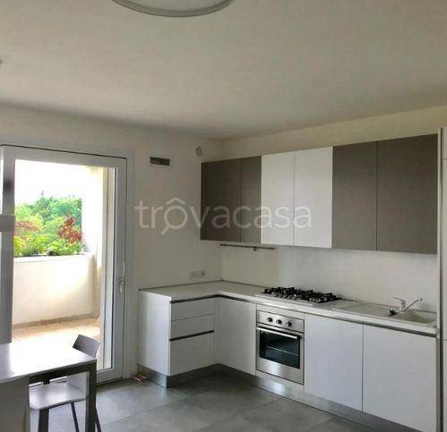 appartamento in affitto a Spinea