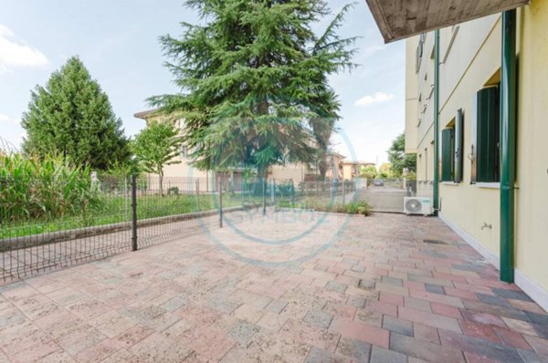 appartamento in affitto a Spinea