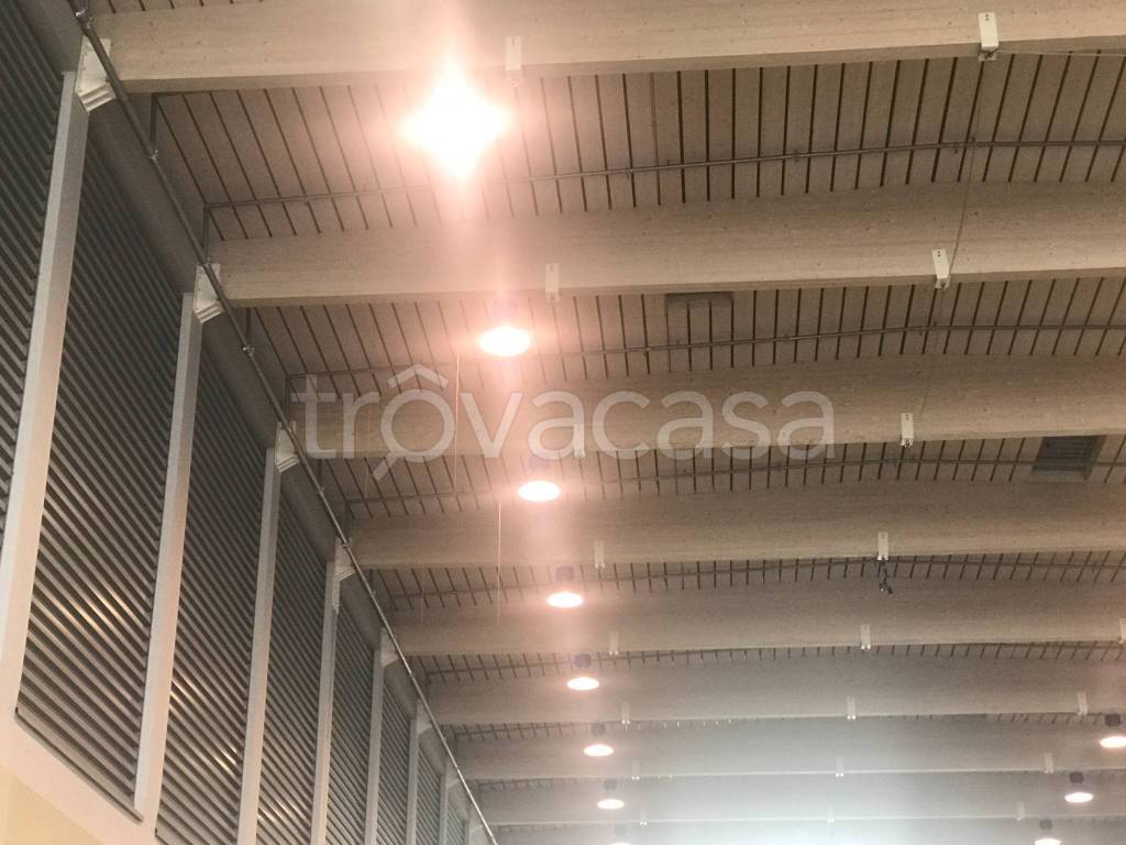 capannone in affitto a Venezia in zona Marghera