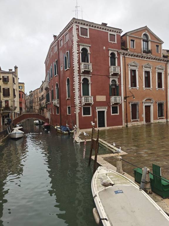 negozio in affitto a Venezia