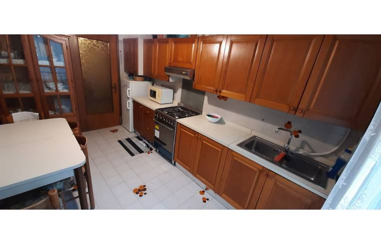 appartamento in affitto a Venezia in zona Lido di Venezia