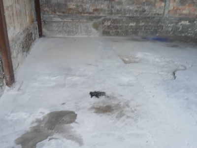 locale di sgombero in affitto a Venezia in zona Marghera