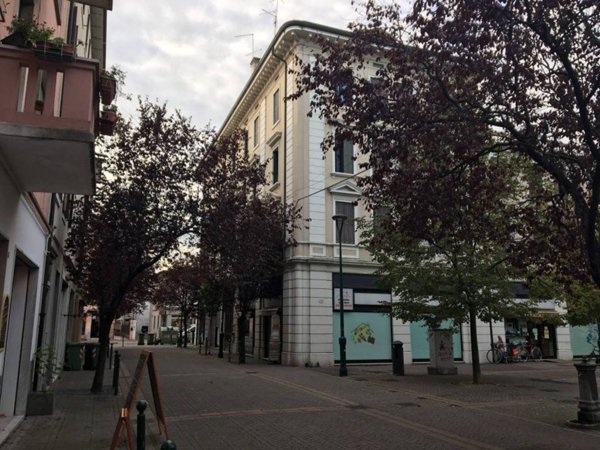 negozio in affitto a Venezia in zona Marghera