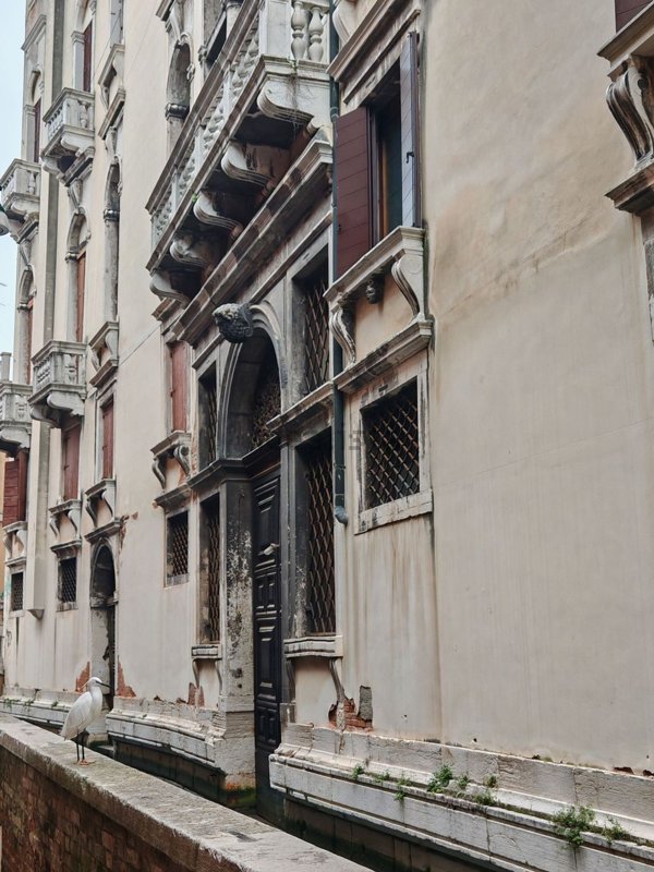 negozio in affitto a Venezia in zona Sestiere Cannaregio