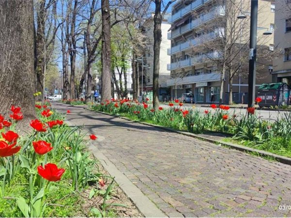 appartamento in affitto a Venezia in zona Carpenedo
