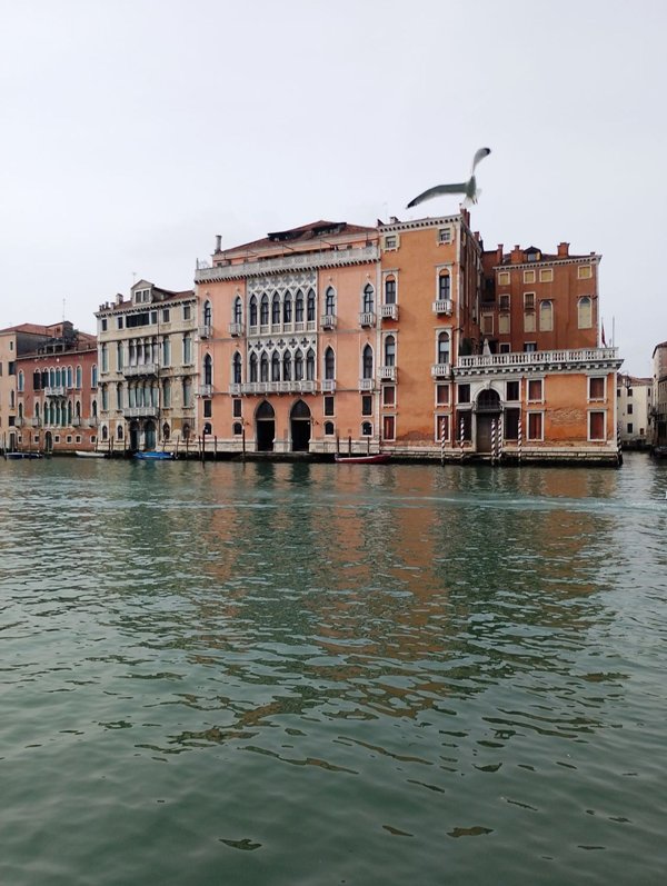 appartamento in affitto a Venezia in zona Sestiere Dorsoduro