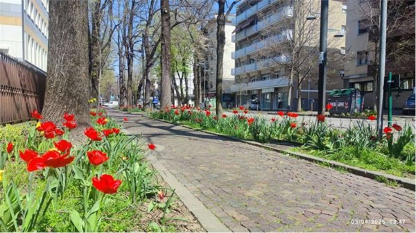appartamento in affitto a Venezia in zona Marghera