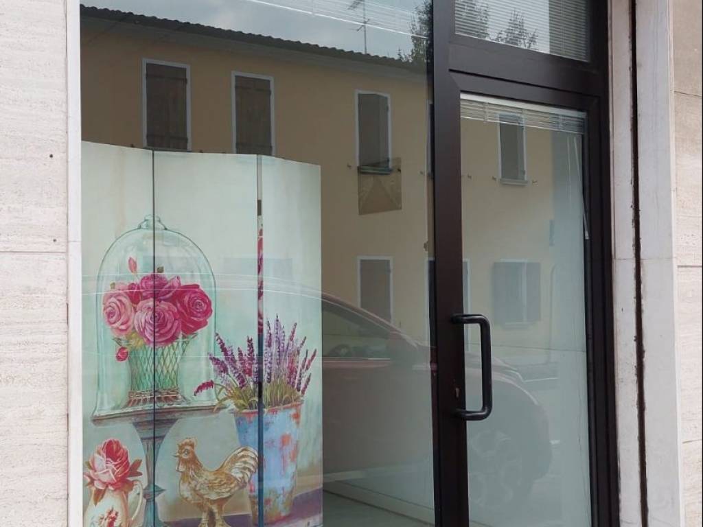 negozio in affitto a Vigonovo