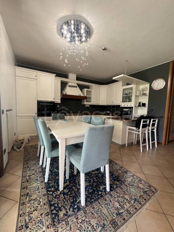 casa indipendente in affitto a Vigonovo