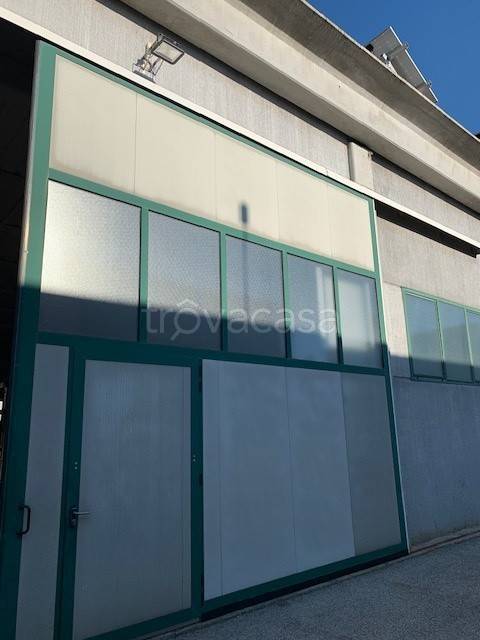 locale commerciale in affitto a Vigonovo