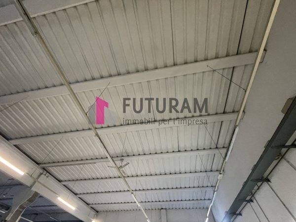 locale di sgombero in affitto a Vigonovo